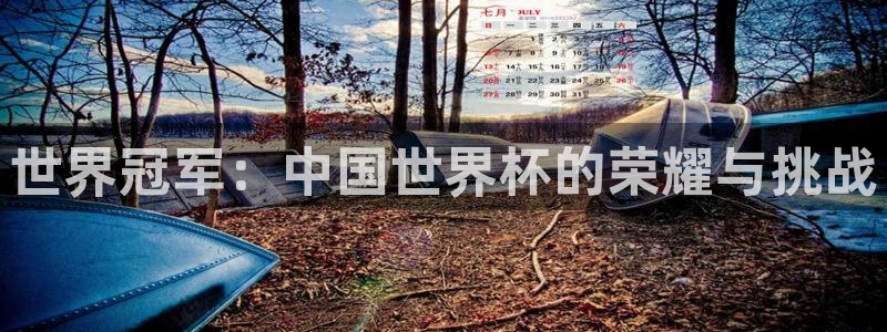 2026世界杯小组赛赛程时间表：世界冠军：中国世界杯的荣耀与挑战
