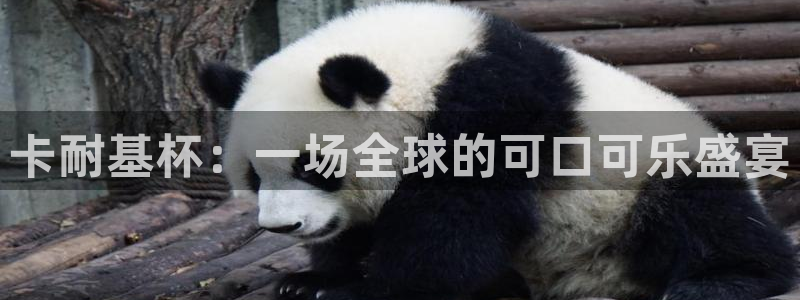 世预赛直播：卡耐基杯：一场全球的可口可乐盛宴