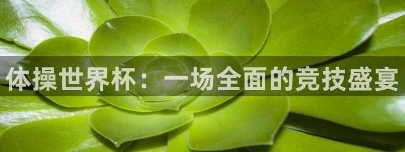 2026世界杯预选赛：体操世界杯：一场全面的竞技盛宴