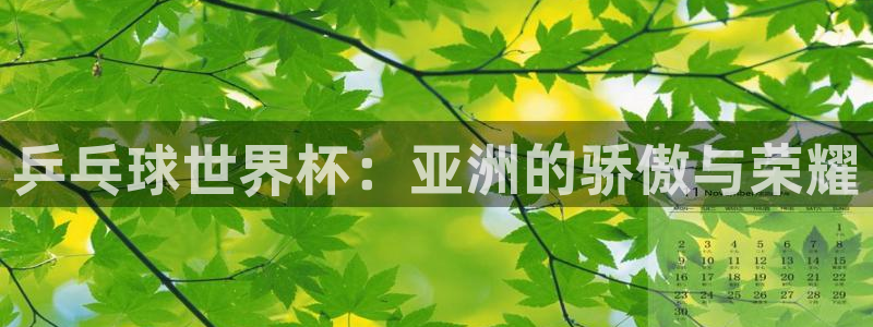 2026世界杯官网入口：乒乓球世界杯：亚洲的骄傲与荣耀