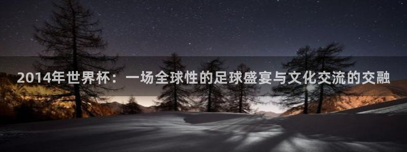 世界杯直播网：2014年世界杯：一场全球性的足球盛宴与文化交流的交融