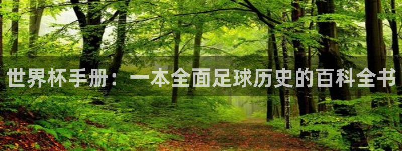 世界杯预选赛亚洲：世界杯手册：一本全面足球历史的百科全书