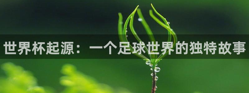 2026世界杯赛程表完整版：世界杯起源：一个足球世界的独特故事