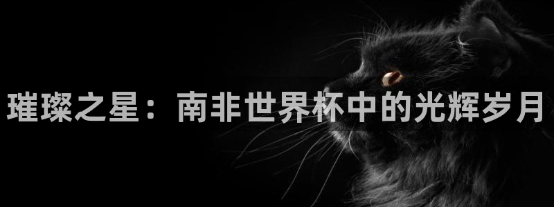 世界杯足球比赛：璀璨之星：南非世界杯中的光辉岁月