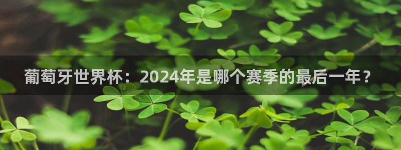世界杯直播平台：葡萄牙世界杯：2024年是哪个赛季的最后一年？
