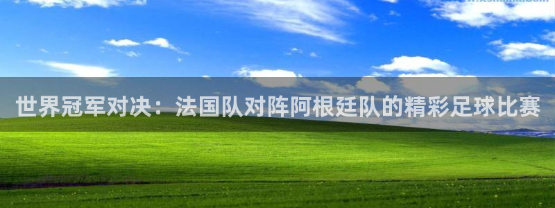 世界杯比赛：世界冠军对决：法国队对阵阿根廷队的精彩足球比赛