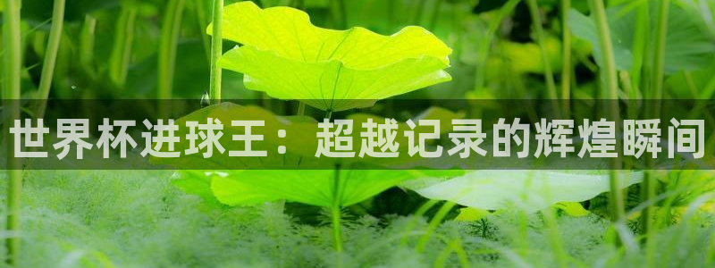 世界杯足球直播：世界杯进球王：超越记录的辉煌瞬间