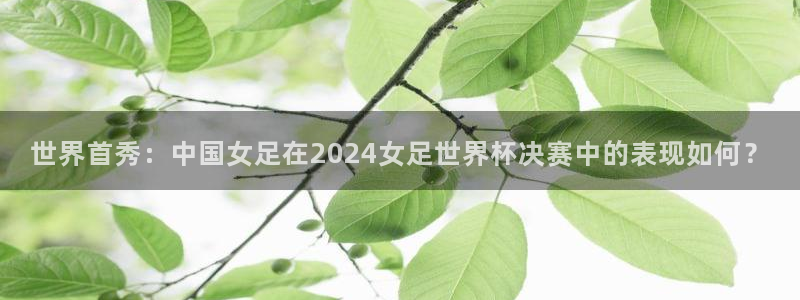 2026葡萄牙杯赛程表：世界首秀：中国女足在2024女足世界杯决赛中的表现如何？