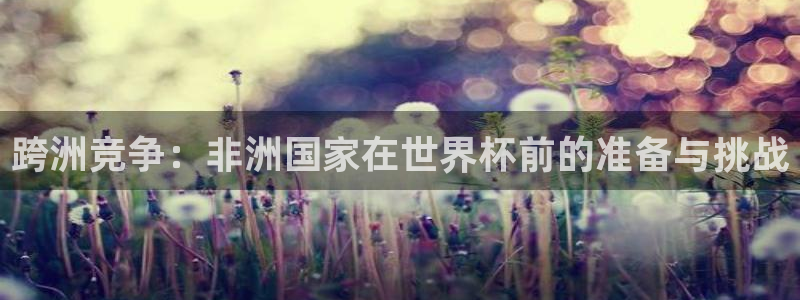 2026世界杯直播免费观看：跨洲竞争：非洲国家在世界杯前的准备与挑战