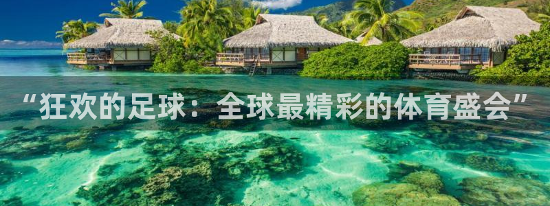 世界杯对阵表：“狂欢的足球：全球最精彩的体育盛会”