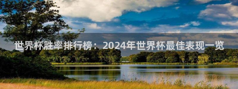 2026年世界杯赛程：世界杯胜率排行榜：2024年世界杯最佳表现一览