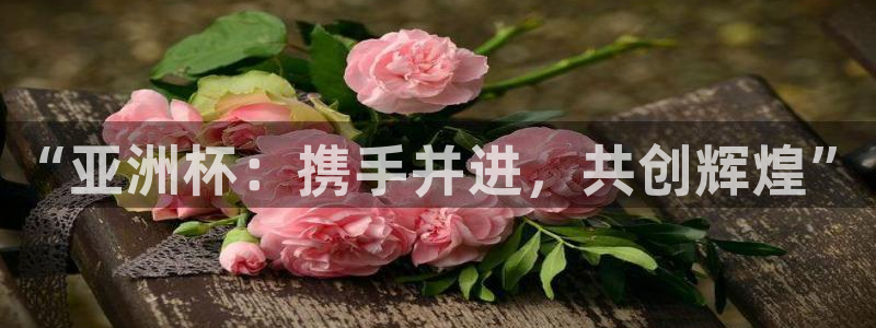联赛杯直播：“亚洲杯：携手并进，共创辉煌”