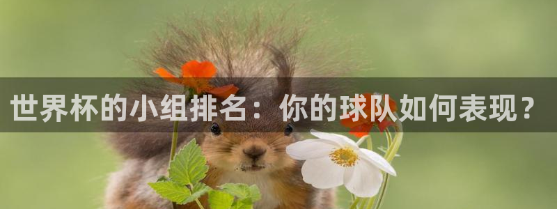 世界杯转播表：世界杯的小组排名：你的球队如何表现？