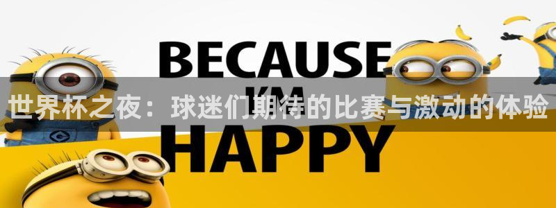 2026世界杯对阵图：世界杯之夜：球迷们期待的比赛与激动的体验